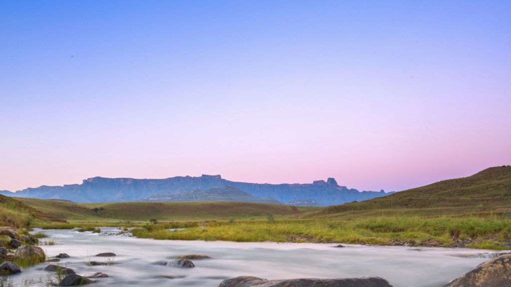 The Carte Collection